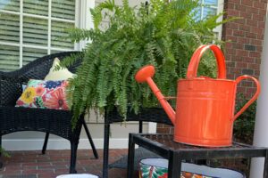 Photo of residential porch in Firefly Meadow