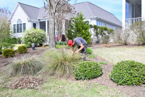 landscape team