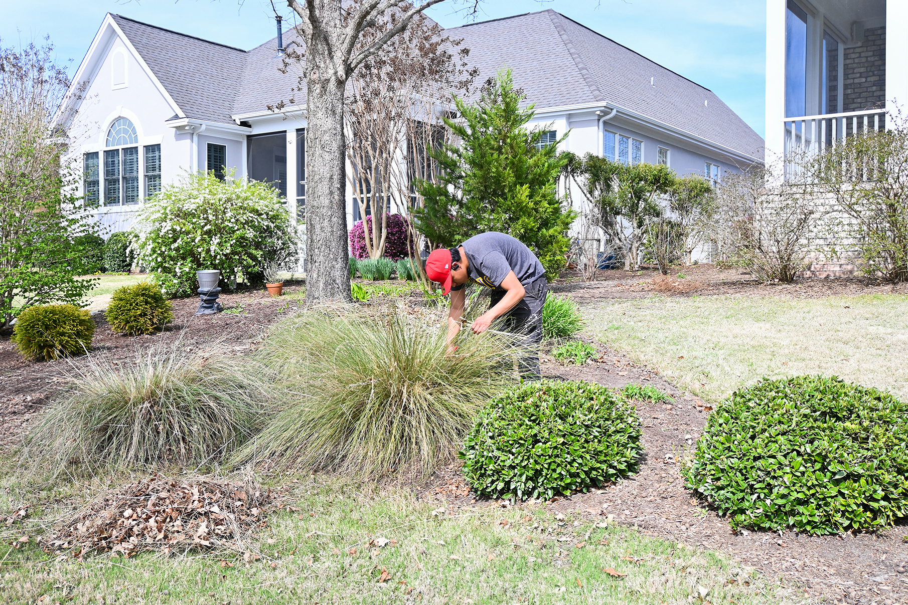 landscape team