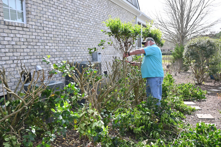 putting bushes