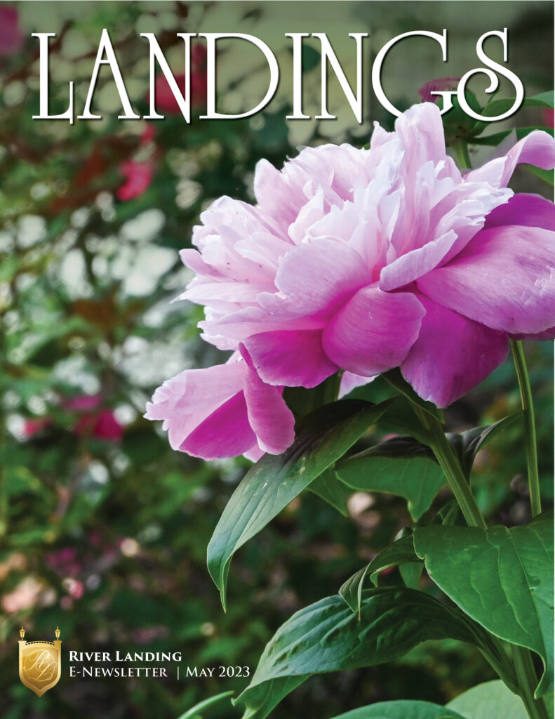 Landings newsletter front page